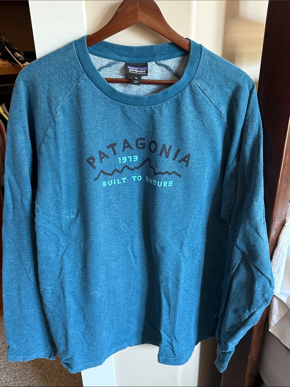 Patagonia Teal Crewneck Logo Sweatshirt